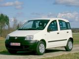 Fiat Panda 1.1 169 8V Active Service NEU! TÜV 3/28! - gebrauchte Fiat Panda aus dem Jahr 2009