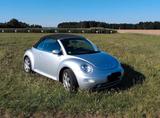 Volkswagen New Beetle Highline 1,6 - Volkswagen Beetle aus 2003: Cabrio