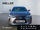 Lexus UX 250h LAUNCH EDITION *SHZ*PDC*RCam*ACC* - Lexus aus 2019