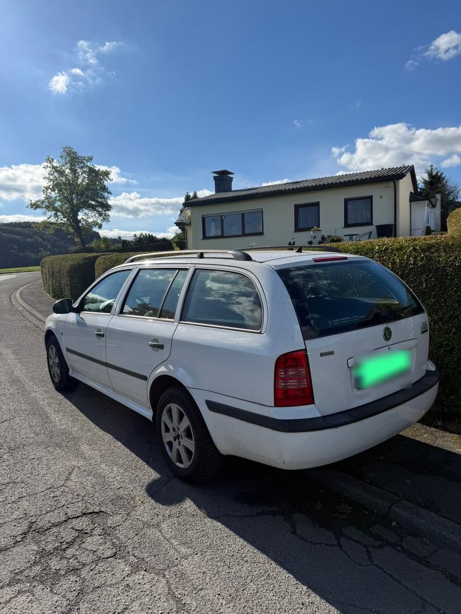 Skoda Octavia 2009 — rear view