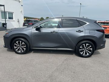 Lexus NX 350h - 8
