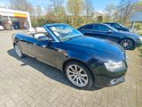 Audi A5 Cabrio 2.0 tfsi neuer Motor AT Austauschmotor - Audi: Austauschmotor