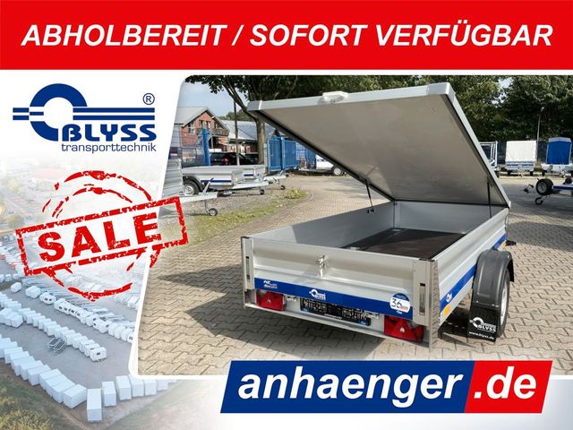 Blyss SONDERPREIS! PKW Anhänger 256x131x33cm 750kg zGG