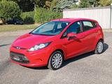 Ford Fiesta Trend*Klima*8-fach bereifung - Ford Fiesta aus 2010