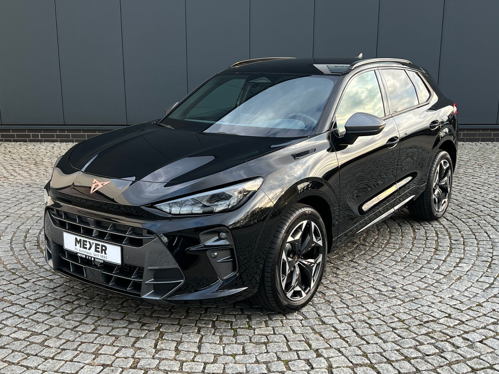 Fahrzeugabbildung CUPRA Terramar VZ 2.0 TSI DSG 4Drive *Garantie, AHK, D