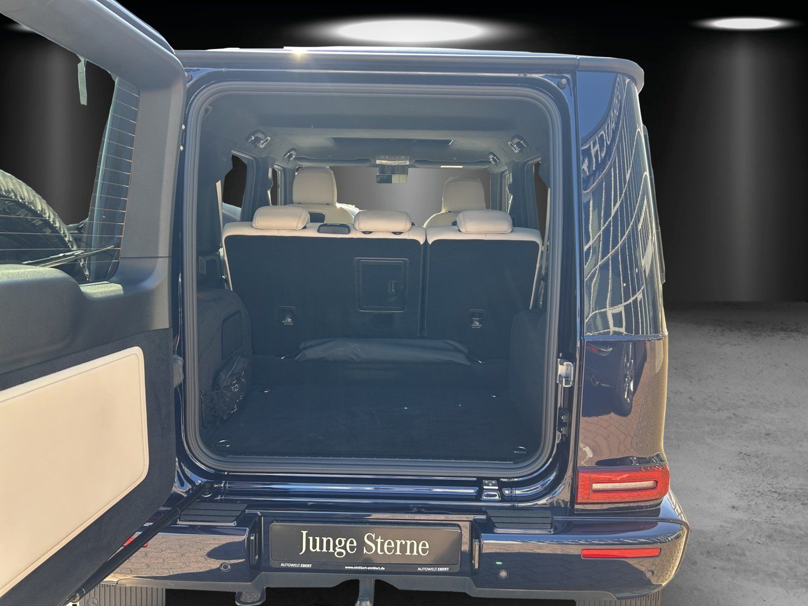 Fahrzeugabbildung Mercedes-Benz G500 Professio AHK Exclusiv Massage Standhz MLED