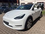Tesla Model Y Long Range Dual AWD Berlin 4x SHZ Pano - Tesla: X