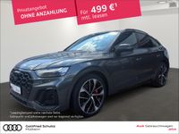Audi SQ5 - Vorschau Bild 1