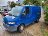 Peugeot Boxer - gebrauchte Peugeot Boxer aus dem Jahr 1999