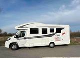 Peugeot XGO Queensbett Hubbett Hundegerechter Umbau