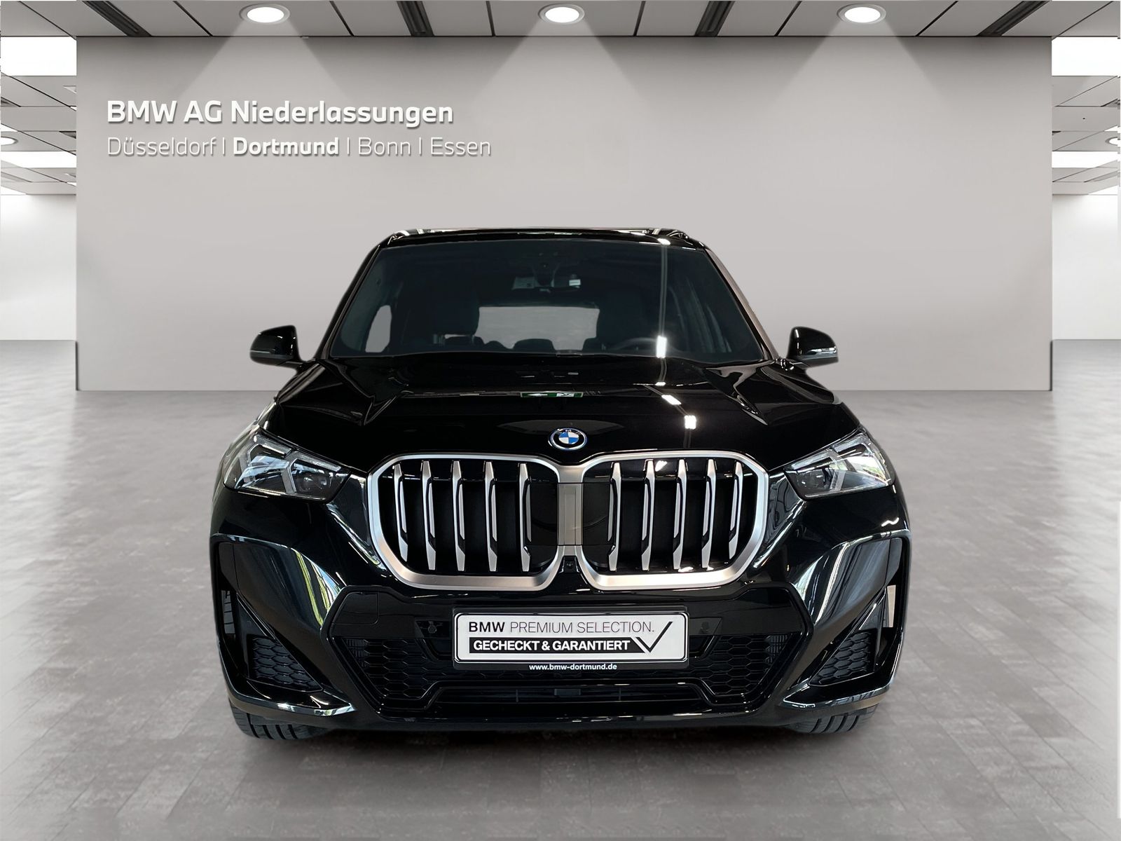 BMW X1 xDrive30e M Sport AHK Driv.Assist.Prof LED foto 9