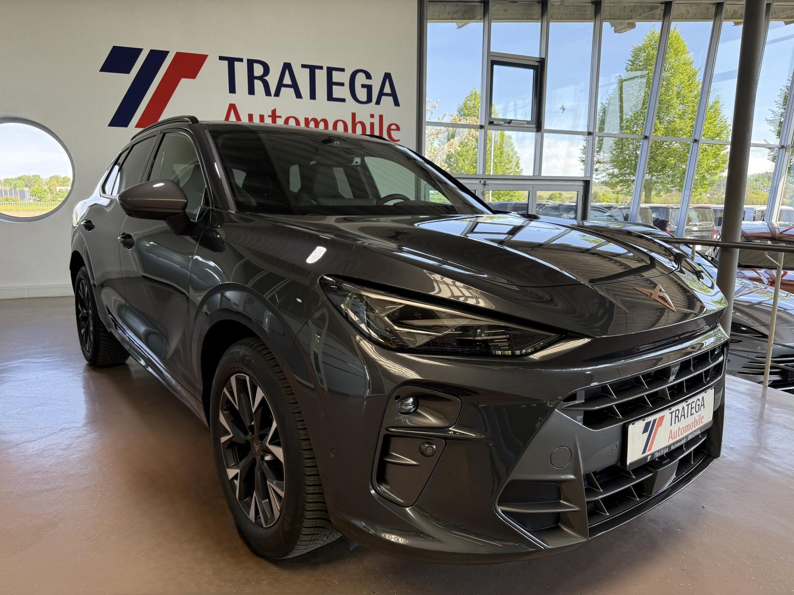 Cupra Terramar 2.0 TSI 4Drive AHK Pano HUD 360° RPA 