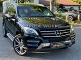 Mercedes-Benz ML 350 4-Matic KEYLESS+TV+SPUR+PANO+LEDER+21"ALU - Mercedes-Benz ML 350: 4matic