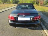 Mercedes-Benz E 250 Cabriolet - lückenloser Mercedes Service - : Roadster, Mercedes