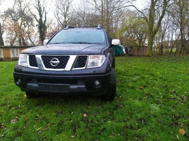 Nissan navara