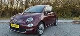 Fiat 500 0.9 8V TwinAir Lounge XENON-PDC -KLIMA-PANAD - Fiat 500: Rot