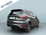 Ford Kuga 1.5 EcoBoost 2x4 ST-Line - Ford Kuga: Standheizung