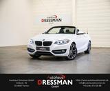 BMW 220i Sport Line BI-XENON LEDER NAVI PDC SITZHZ. - BMW Gebrauchtwagen in Hamm