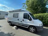 Fiat Ducato - gebrauchte Fiat Ducato aus dem Jahr 2004