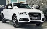 Audi Q5 2.0 TDI 120 kW quattro SHZ|LED|PDC| - Audi Q5 bis 20.000 Euro