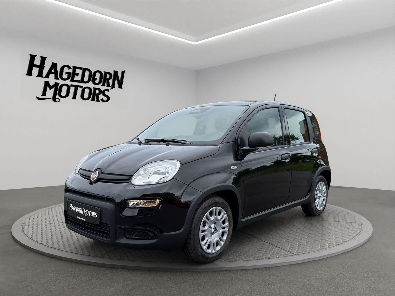 Fiat Panda PANDINA CROSS DAB SPURHALTE CITY 