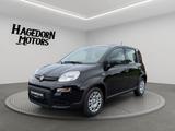 Fiat Panda PANDINA CROSS DAB SPURHALTE CITY  - Fiat Panda in Rostock