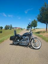 Harley-Davidson Sportster 100th Anniversary 1200ccm Custom  - HARLEY-DAVIDSON 2003 100TH ANNIVERSARY
