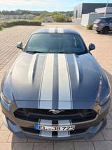 Ford Mustang GT 5.0 Ti-VCT V8 Automatik  - Ford Mustang mit Benzin-Antrieb: Coupe, Grau