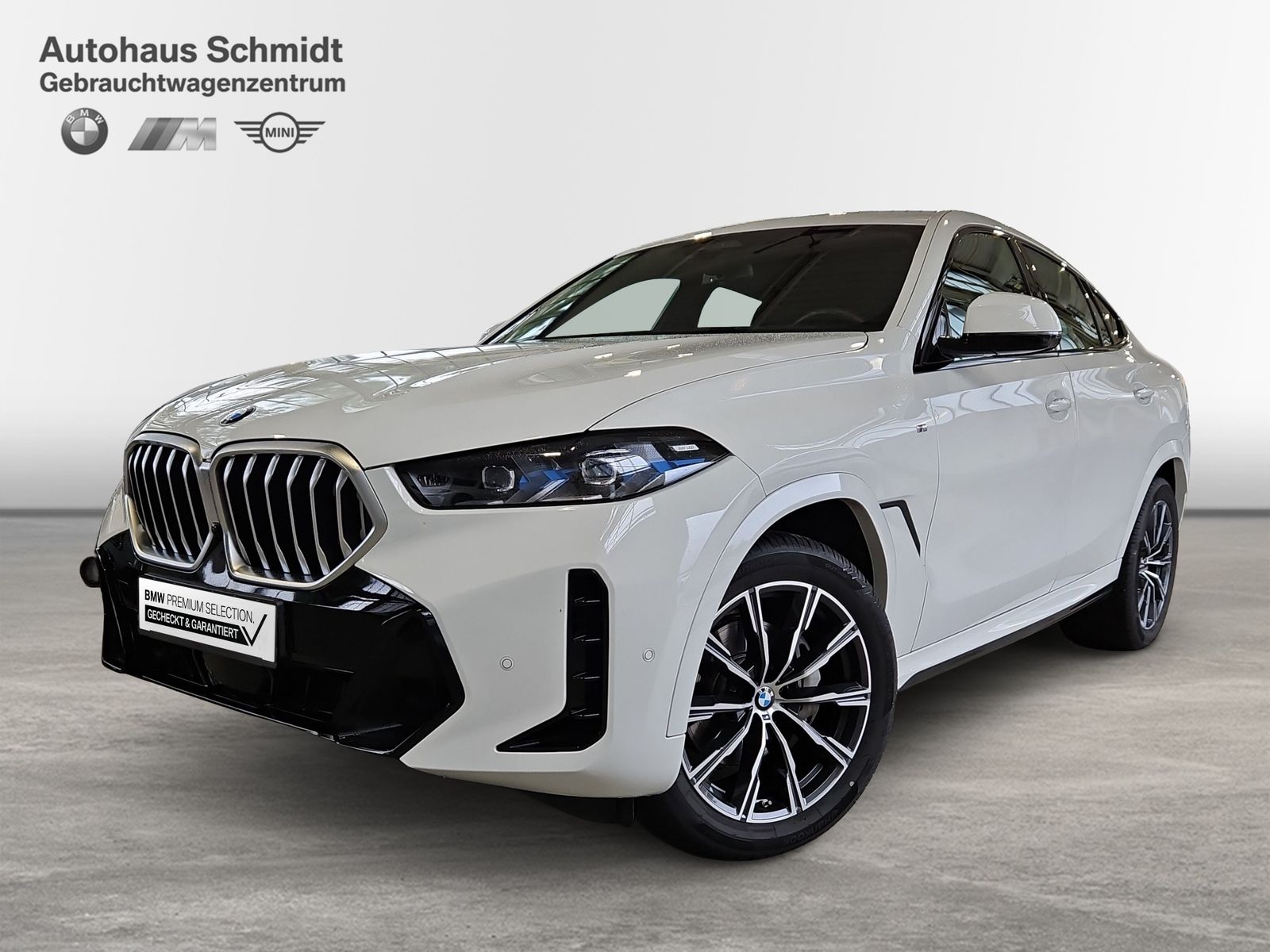 BMW X6 xDrive30d M Sport*Gestik.*AHK*H&K*Memory*DAB*