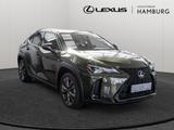 Lexus UX 300h F-Sport Design SHZ NAVI LENKRADHEIZUNG - Lexus UX Tageszulassungen