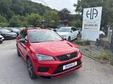 Cupra Ateca 4-Drive*S-SITZE*VIRTUAL*SPORT*FIRE-RED*TOP - rote Cupra Ateca