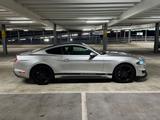 Ford Mustang 2.3 EcoBoost Auto - TOP GEPFLEGT - Wenig - silberne Ford Mustang