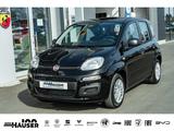 Fiat Pandina ICON Hybrid 1.0 GSE TEMPOMAT PDC LANE KL - scheckheftgepflegte Fiat New Panda