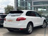 Porsche Cayenne S/BOSE/MEMORY/WINTERPAKET/KESSY - Porsche Cayenne: Weiß