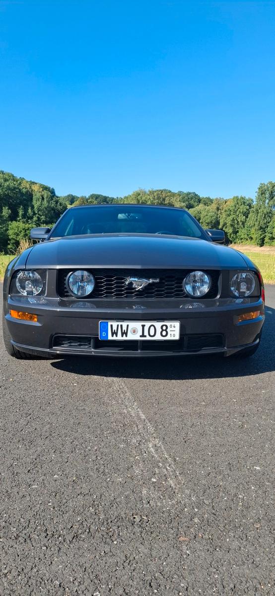 Ford Mustang Cabrio 4,6 Liter V8