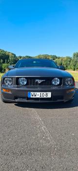 Ford Mustang Cabrio 4,6 Liter V8 - Ford Mustang: V6