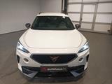 Cupra Formentor 2.0 TDI 4Drive LED|Navi|360°|Sitzheiz - Cupra mit Diesel-Antrieb
