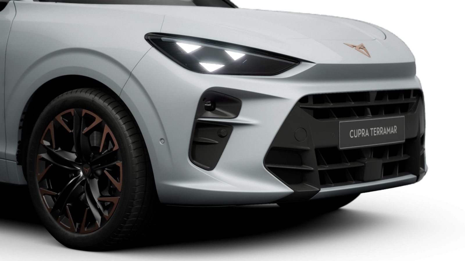 Cupra Terramar - Bild 7