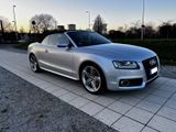 Audi A5 2.0 Cabriolet, Scheckheft, Traumwagen - Audi A5 aus 2009: Cabrio