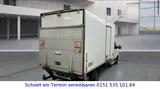 MAN TGE 2.0/KÜHLKOFFER/STANDHEI/HEBEBÜHNE - Linienbus