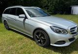Mercedes-Benz E 220 BlueTEC BE T Edition AVANTG. Auto. Edi... - Mercedes-Benz E-Klasse: 7sitzer