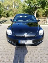 Volkswagen VW New Beetle - Volkswagen New Beetle mit Benzin-Antrieb: Limousine