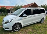 Mercedes-Benz Mercedes V-Klasse 220 d Kompakt - : Van, Mercedes