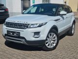 Land Rover Evoque Pure Leder/Navi/PDC/LED - Land Rover aus 2015