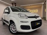 Fiat Panda 1.3 MJT S&S Pop 75000 KM !! - Fiat Panda POP mit Diesel-Antrieb