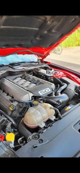 Ford Mustang 5.0 Ti-VCT V8 GT GT - Ford Mustang in Stuttgart