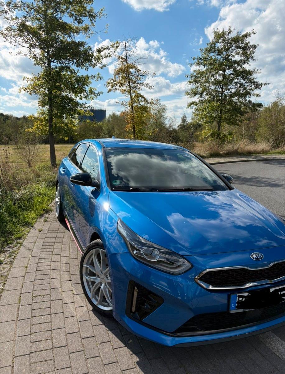 Kia Andere