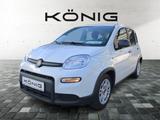 Fiat Panda MY24 1.0 HYBRID KLIMA*ALLWETTER - Fiat Panda: My