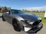 Ford Mustang 5.0 GT Fastback V8 - Ford Mustang Gebrauchtwagen in Berlin