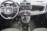 Fiat Panda 1.0 City Cross PDC Klima 1.Hand TÜV neu - Fiat Panda: Schwarz
